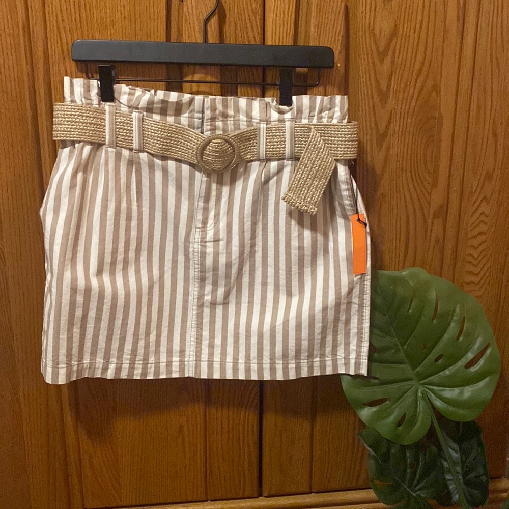 Strip Mini Skirt